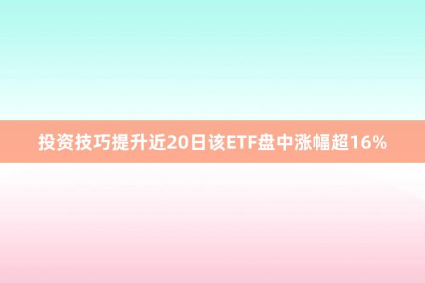 投资技巧提升近20日该ETF盘中涨幅超16%