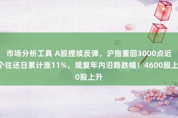 市场分析工具 A股捏续反弹，沪指重回3000点近8个往还日累计涨11%，规复年内沿路跌幅！4600股上升