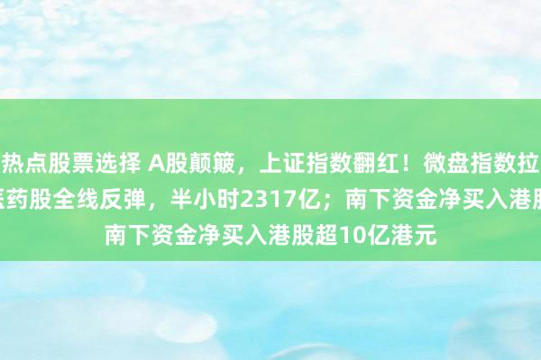 热点股票选择 A股颠簸，上证指数翻红！微盘指数拉升1.75%，医药股全线反弹，半小时2317亿；南下资金净买入港股超10亿港元