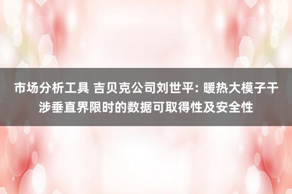 市场分析工具 吉贝克公司刘世平: 暖热大模子干涉垂直界限时的数据可取得性及安全性