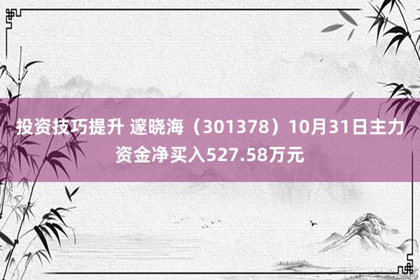 投资技巧提升 邃晓海（301378）10月31日主力资金净买入527.58万元