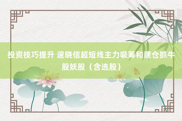 投资技巧提升 邃晓信超短线主力吸筹和建仓抓牛股妖股（含选股）