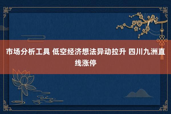 市场分析工具 低空经济想法异动拉升 四川九洲直线涨停