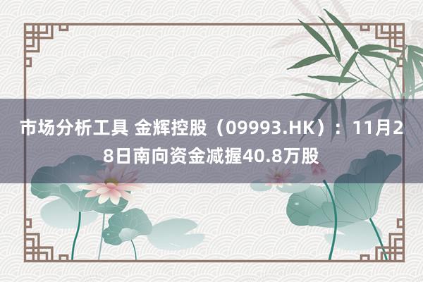 市场分析工具 金辉控股（09993.HK）：11月28日南向资金减握40.8万股