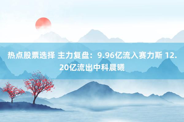 热点股票选择 主力复盘：9.96亿流入赛力斯 12.20亿流出中科晨曦