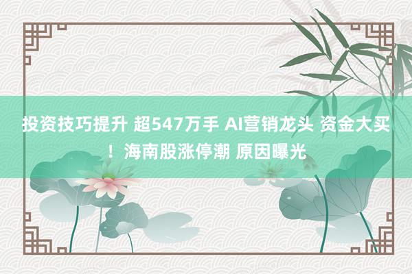 投资技巧提升 超547万手 AI营销龙头 资金大买！海南股涨停潮 原因曝光