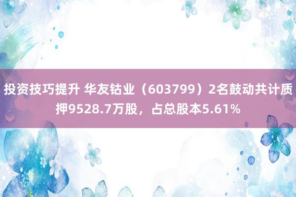 投资技巧提升 华友钴业（603799）2名鼓动共计质押9528.7万股，占总股本5.61%