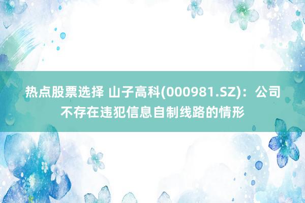 热点股票选择 山子高科(000981.SZ)：公司不存在违犯信息自制线路的情形