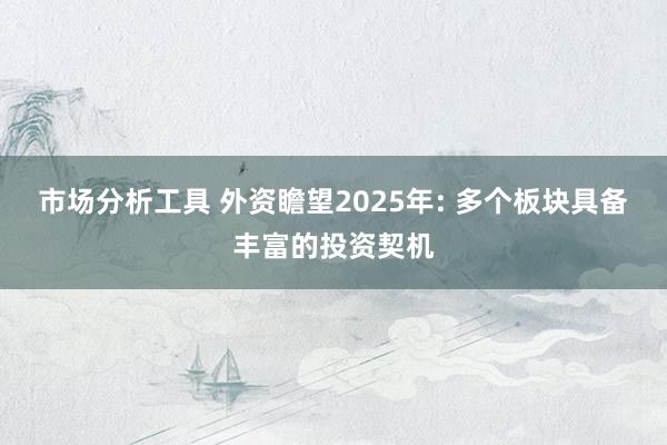 市场分析工具 外资瞻望2025年: 多个板块具备丰富的投资契机