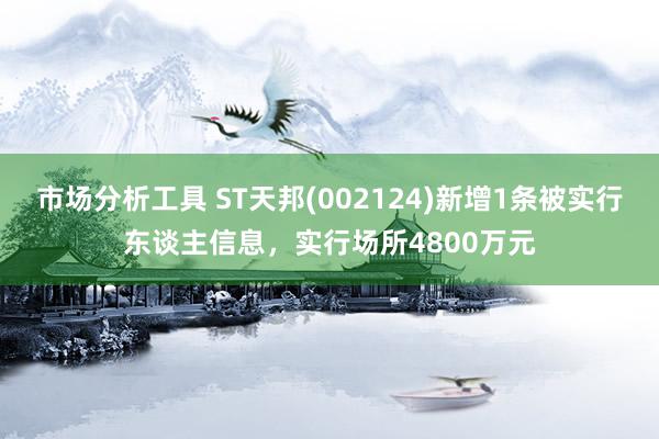 市场分析工具 ST天邦(002124)新增1条被实行东谈主信息，实行场所4800万元