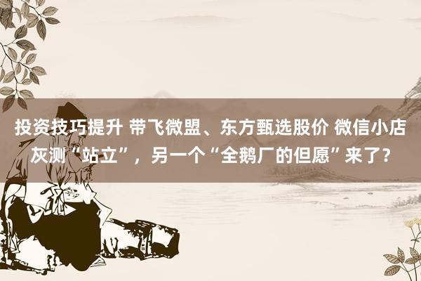 投资技巧提升 带飞微盟、东方甄选股价 微信小店灰测“站立”，另一个“全鹅厂的但愿”来了？