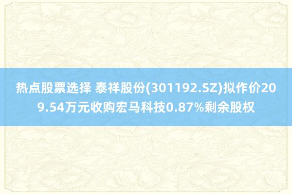 热点股票选择 泰祥股份(301192.SZ)拟作价209.54万元收购宏马科技0.87%剩余股权