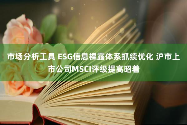 市场分析工具 ESG信息裸露体系抓续优化 沪市上市公司MSCI评级提高昭着