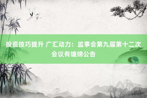 投资技巧提升 广汇动力：监事会第九届第十二次会议有缠绵公告