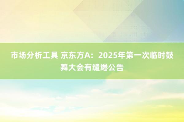 市场分析工具 京东方A：2025年第一次临时鼓舞大会有缱绻公告