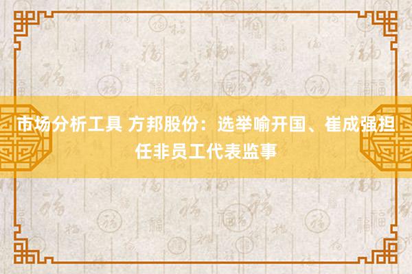 市场分析工具 方邦股份：选举喻开国、崔成强担任非员工代表监事