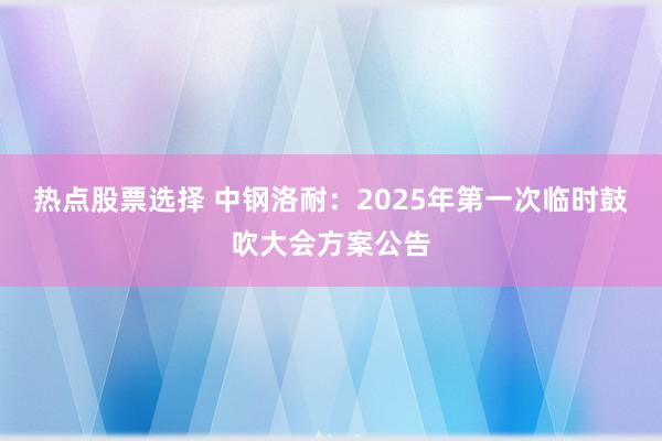 热点股票选择 中钢洛耐：2025年第一次临时鼓吹大会方案公告