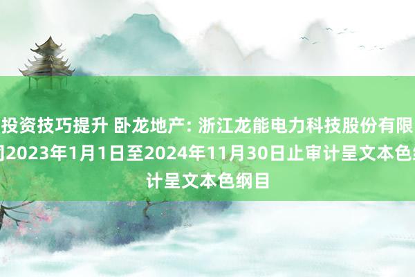 投资技巧提升 卧龙地产: 浙江龙能电力科技股份有限公司2023年1月1日至2024年11月30日止审计呈文本色纲目