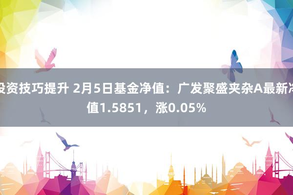 投资技巧提升 2月5日基金净值：广发聚盛夹杂A最新净值1.5851，涨0.05%