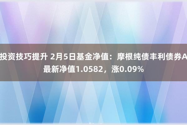 投资技巧提升 2月5日基金净值：摩根纯债丰利债券A最新净值1.0582，涨0.09%