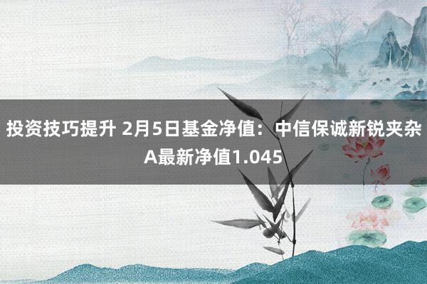 投资技巧提升 2月5日基金净值：中信保诚新锐夹杂A最新净值1.045