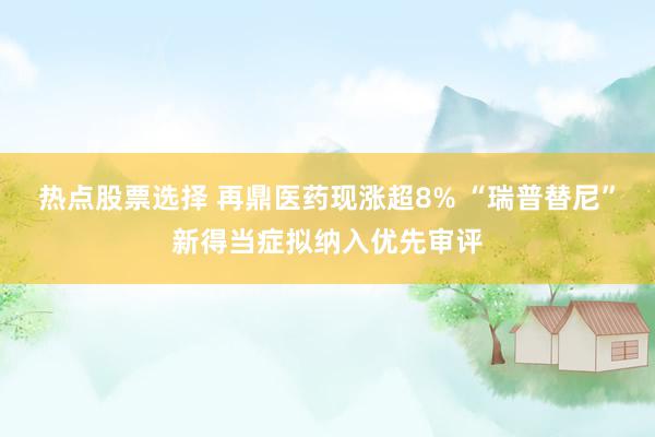 热点股票选择 再鼎医药现涨超8% “瑞普替尼”新得当症拟纳入优先审评