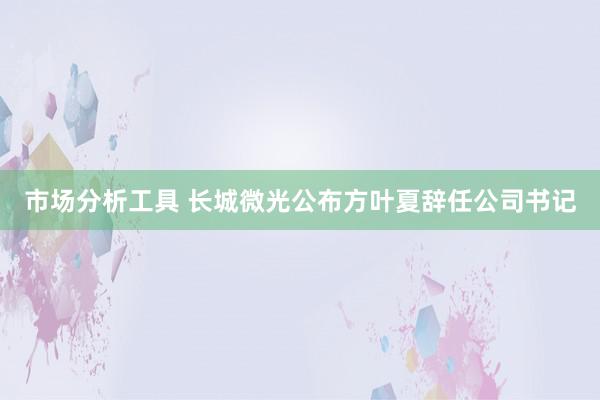 市场分析工具 长城微光公布方叶夏辞任公司书记