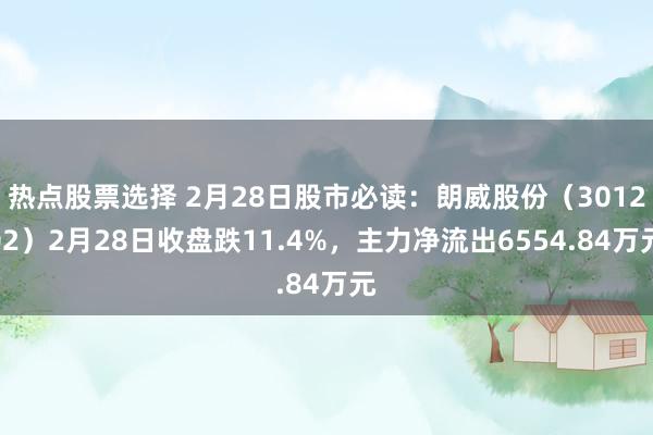 热点股票选择 2月28日股市必读：朗威股份（301202）2月28日收盘跌11.4%，主力净流出6554.84万元