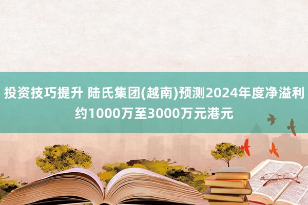 投资技巧提升 陆氏集团(越南)预测2024年度净溢利约1000万至3000万元港元