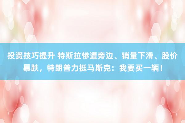 投资技巧提升 特斯拉惨遭旁边、销量下滑、股价暴跌，特朗普力挺马斯克：我要买一辆！