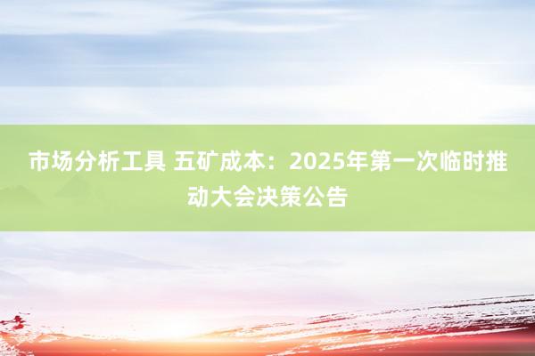 市场分析工具 五矿成本：2025年第一次临时推动大会决策公告