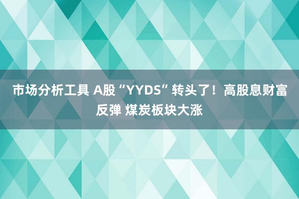 市场分析工具 A股“YYDS”转头了！高股息财富反弹 煤炭板块大涨